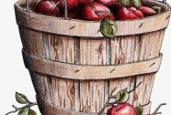 爆料水果桶视频在线观看,在线观看爆笑瞬间大盘点