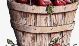 爆料水果桶视频在线观看,在线观看爆笑瞬间大盘点