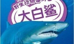 科普爆料大白鲨视频,大白鲨惊悚瞬间大揭秘