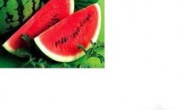 网红吃瓜网站注意事项,安全上网，文明吃瓜指南