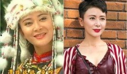 还珠格格张恒综艺爆料视频,幕后故事大公开