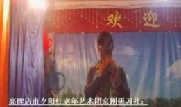 魅力研习社全集在线观看,揭秘魅力修炼之道