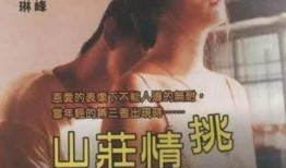 夜蒲团4在线观看,激情燃烧的都市夜生活