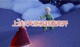 光遇最新季节海鸥季爆料,光遇新篇章，翱翔于蔚蓝天空的冒险启程