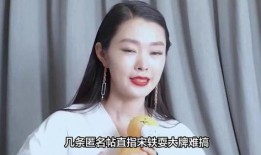 宋轶最新的爆料,娱乐圈背后的惊人真相