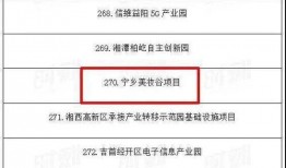 宁乡新闻爆料网站有哪些,聚焦本地资讯，传递民生声音