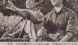 知青在线观看,在线重温那段激情燃烧的青春岁月