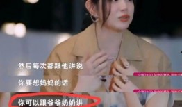 张嘉倪爆料陈晓视频,视频曝光惊人内幕！