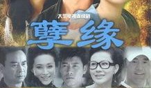 在线观看孽缘,爱恨交织的宿命纠葛