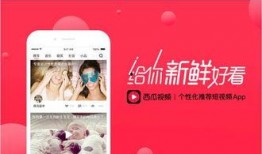 今日西瓜爆料视频最新版,揭秘娱乐圈最新动态，精彩内容抢先看！