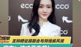 白鹿最近爆料视频,娱乐圈幕后真相大曝光