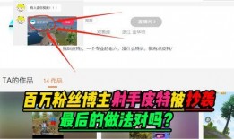 爆料视频百万粉丝怎么做,揭秘短视频平台百万粉丝养成记