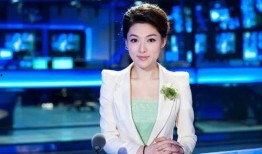 娱乐吃瓜君知名主持人,揭秘知名主持人的幕后故事