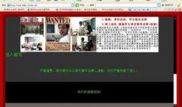 教师爆料真相视频播放网站,揭秘视频播放网站背后的秘密
