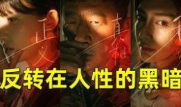 电影爆料讲解视频大全集,视频大全集深度解析