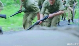 在线观看学生兵,青春岁月中的军旅传奇