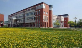 崔洁民航大学爆料视频,揭秘校园内幕与真实情况