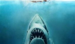 科普爆料大白鲨视频,大白鲨惊悚瞬间大揭秘
