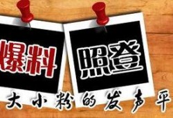 重庆新闻论坛 爆料,揭秘重大事件背后真相