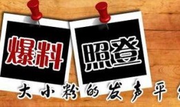 重庆新闻论坛 爆料,揭秘重大事件背后真相