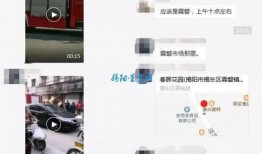 视频爆料市场有哪些,市场动态新趋势