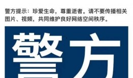 爆料死亡新闻最新视频下载,悲剧瞬间引发社会关注