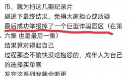 爆料视频百万粉丝怎么做,揭秘短视频平台百万粉丝养成记