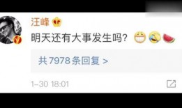 全网娱乐吃瓜,揭秘娱乐圈背后的秘密与八卦
