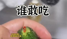 51今日黑瓜吃料爆料fun,fun爆料，揭秘娱乐圈最新热点