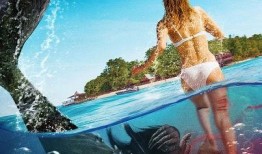 死海电影在线观看