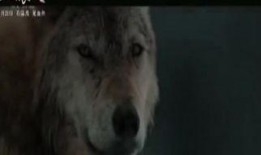狼犬卡尔在线观看,在线观看，探寻野性与忠诚的边界
