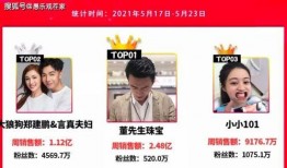 网红爆料模板大全视频,视频内容深度解析
