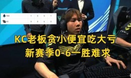 广西小老板爆料视频,揭秘真实创业故事与市场风云