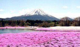 富士山最新爆料新闻事件,揭秘即将喷发的神秘面纱