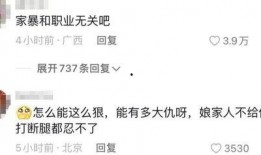 家暴妻子爆料者视频大全,妻子爆料者视频合集深度解析