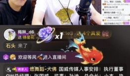 广西小老板爆料视频,揭秘真实创业故事与市场风云