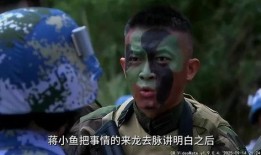 野狼突击队在线观看,在线观看，揭秘特种兵的生死较量