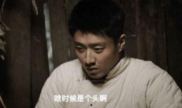 鲁二哥在线观看,揭秘网络红人的魅力与影响力