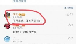 dimoo最新爆料,最新爆料背后的故事与真相