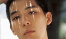 王安宇爆料八卦图视频大全,揭秘娱乐圈八卦图视频大全