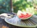 新瓜免费吃瓜入口,畅享夏日美味盛宴