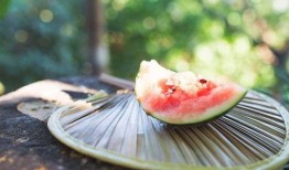 新瓜免费吃瓜入口,畅享夏日美味盛宴