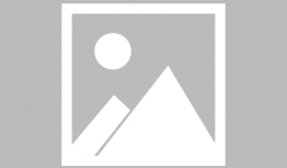 我乘白鹤去了在线观看,在线领略仙鹤飞翔的奇幻之旅