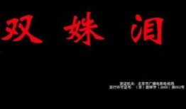 双姝血案高清在线观看,惊悚悬疑，高清在线揭秘惊心动魄的真相