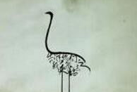 我乘白鹤去了在线观看,在线领略仙鹤飞翔的奇幻之旅