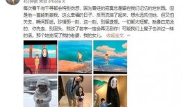 汪爸爆料视频大全,揭秘娱乐圈幕后真相