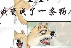 小说单纯吃瓜免费阅读,揭秘校园风云，青春爱情故事