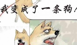 小说单纯吃瓜免费阅读,揭秘校园风云，青春爱情故事