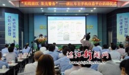 湛江交通新闻最新爆料,最新爆料揭示重大交通变革