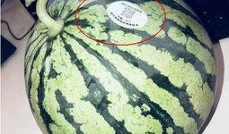 永年网红吃瓜是谁,揭秘永年网红吃瓜背后的故事